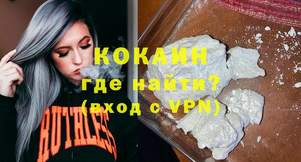 индика Белокуриха