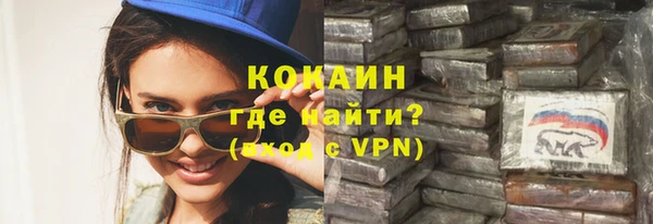 индика Белокуриха