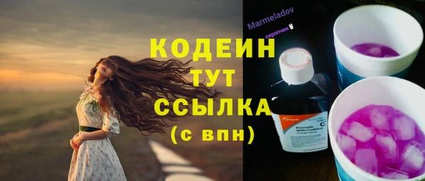 индика Белокуриха