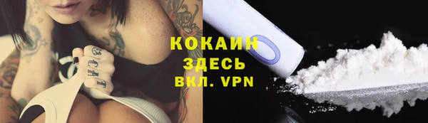 индика Белокуриха