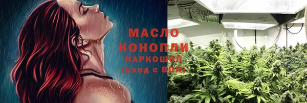 индика Белокуриха