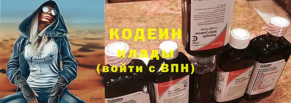 индика Белокуриха