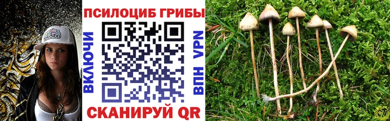 Галлюциногенные грибы Psilocybine cubensis  Облучье 